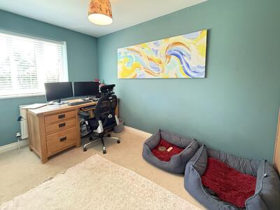Picture 15